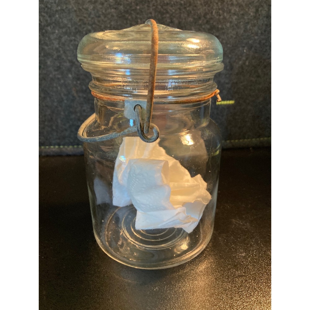 Vintage Ball Ideal Clear Glass Canning Jar with Glass Lid and Wire Bail 5.5in - Picture 3 of 8